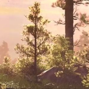 Meet your Posher, Areya